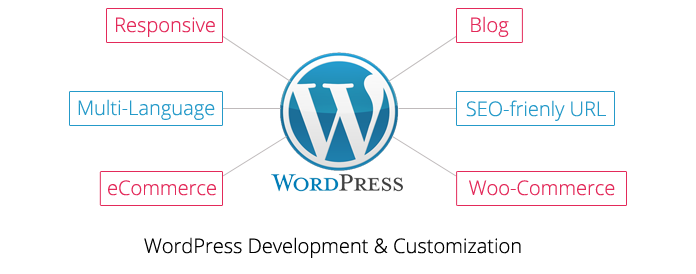WordPress Development WordPress Development & Customization