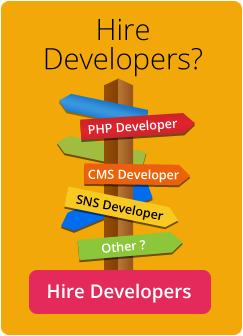 Hire Web Developer