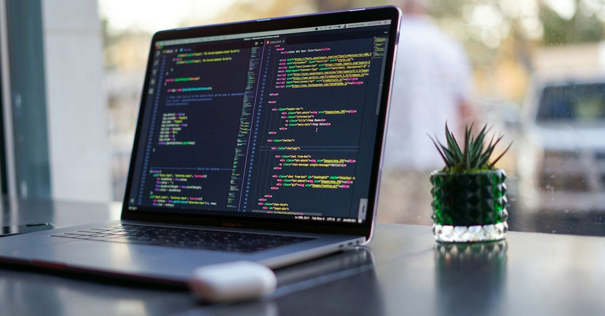 Custom WordPress plugin development guide for business owners